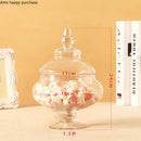Axya Glass Candy Jar with Lid - Elegant Storage Tank for Home Decor or Special Occasions