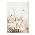 Axyaa Dandelion Reed Canvas Print Nordic Wall Art for Home Decor