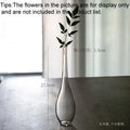 Axyaa Glass Vase: Modern Zen Hydroponics Floral Insert for Home and Office Decor