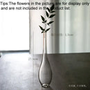 Axyaa Glass Vase: Modern Zen Hydroponics Floral Insert for Home and Office Decor
