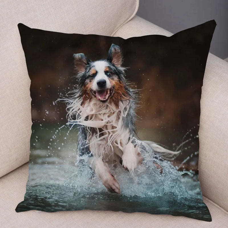 Axyaa Australian Shepherd Pillow Cover - Cute Dog Animal Cushion