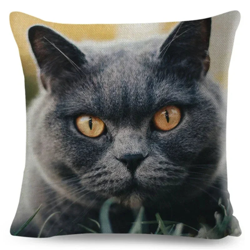 Axyaa Fold Ear Cat Pillow Covers - Set of 2 Cute Pet Pillowcases