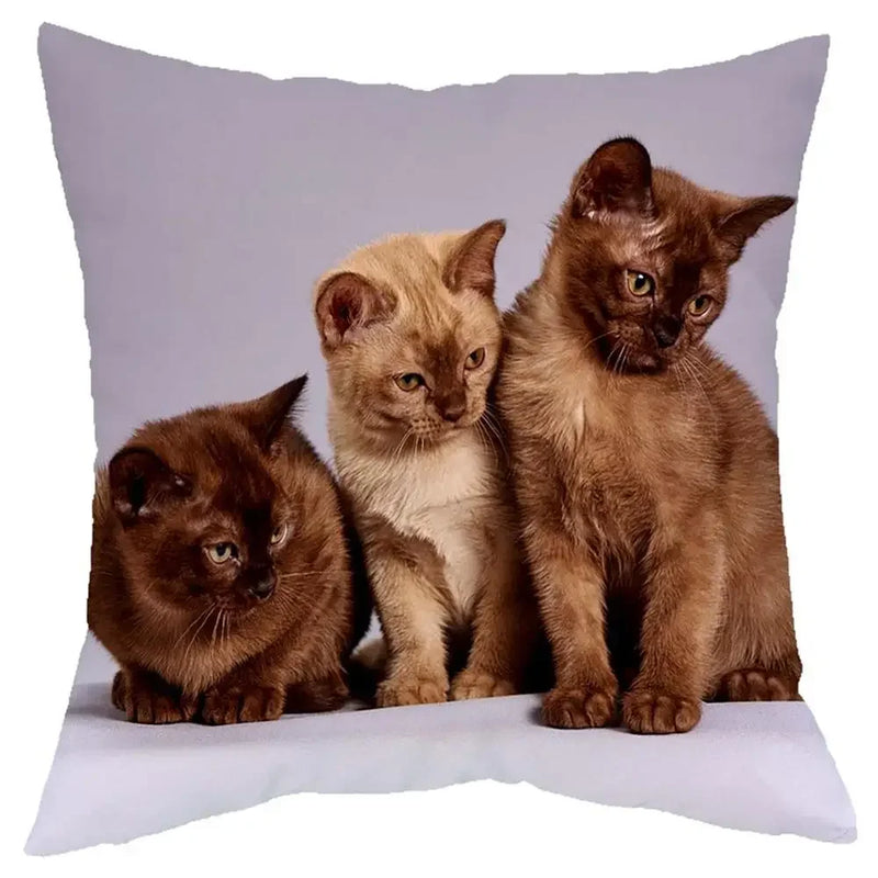 Axyaa Cat Design Sofa Cushion Cover 45x45cm