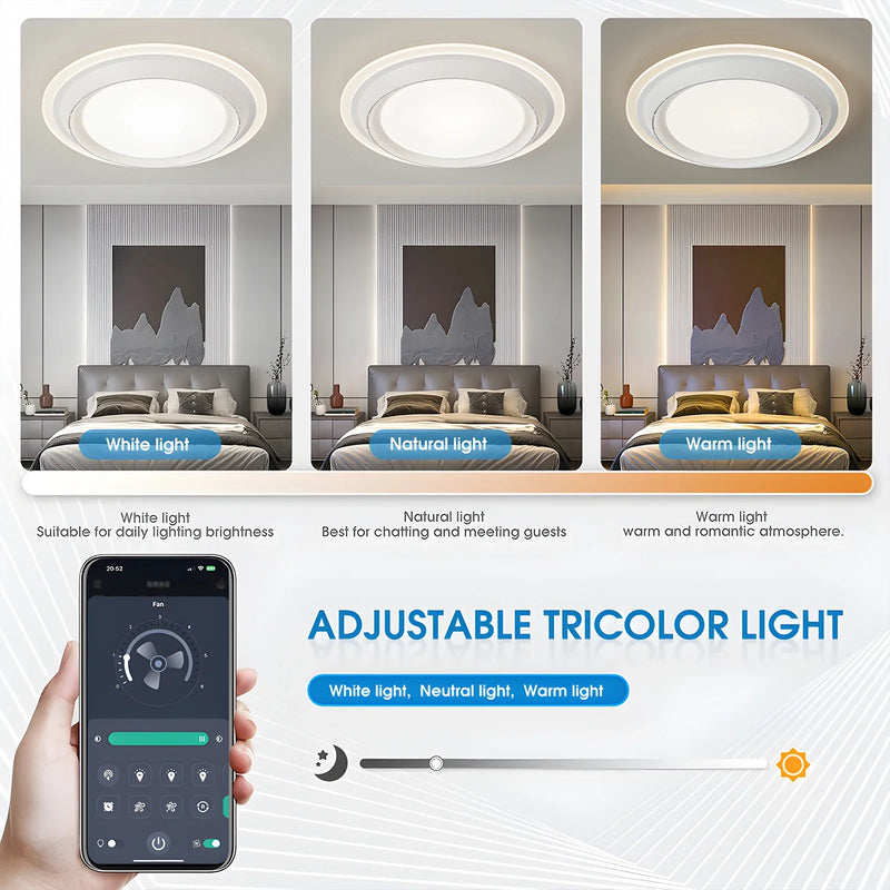 Axyaa Ceiling Fan with Hidden Blade, Remote Control, LED Lights - Home Decoration