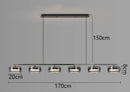 Axyaa Modern LED Pendant Light for Home Decor Chandeliers Indoor Lighting
