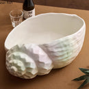 Axyaa Conch Ceramic Sashimi Plate: Elegant Seafood Display for Molecular Cuisine