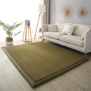 Axyaa 2cm Coral Fleece Carpet | Custom Size | Thickened | Branded Quality