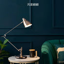 Axyaa Long Arm Desk Lamp with E27 Bulb