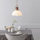 Axyaa Arc Globe Pendant Light Scandinavian style glass ball lamp for home decor
