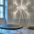 Axyaa Elegant Floor Lamp: Premium Luxury Lighting for Bedroom, Study, and Living Room