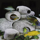 Axya Ceramic Cave Aquarium Ornament for Fish Tank, Shrimp Breeding, Pond Decor