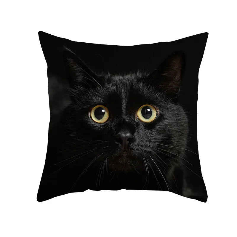 Axyaa Black Cat Pillowcases: Cute Kitty Lover Cushion Cover & Home Decor