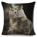 Axyaa British Shorthair Russian Blue Cat Cushion Cover - Cute Pet Animal Pillowcase