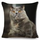 Axyaa British Shorthair Russian Blue Cat Cushion Cover - Cute Pet Animal Pillowcase