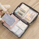 Axyaa Travel Storage Bag Set - Transparent Waterproof Sorting for Clothes and Underwear