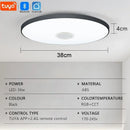 Axyaa Smart RGB Music Ceiling Light - App Control LED Ambient Lamp