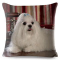 Maltese Dog Pillow Cover by Axyaa - Decorative Cushion Case for Home and Car