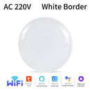 Axyaa Smart WiFi BLT Ceiling Light 24W Voice Control Smart Life Alexa Google Assistant