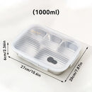 Axyaa Stainless Steel Bento Lunch Box with Lid - Durable Food Container