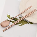 Axyaa Stainless Steel Sushi Chopsticks & Spoon Set: High-Quality Reusable Tableware