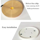 Axyaa 220V LED 5W Surface Mounted Spot Light for Showcase Counter Jewelry Cabinet