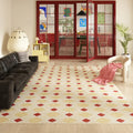 Axyaa Plaid Pattern Red Rug for Bedroom & Living Room, Washable & Anti-slip Floor Mat