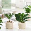Axyaa Ceramic Green Plant Flowerpot Wind Silver Vase Desktop Decoration