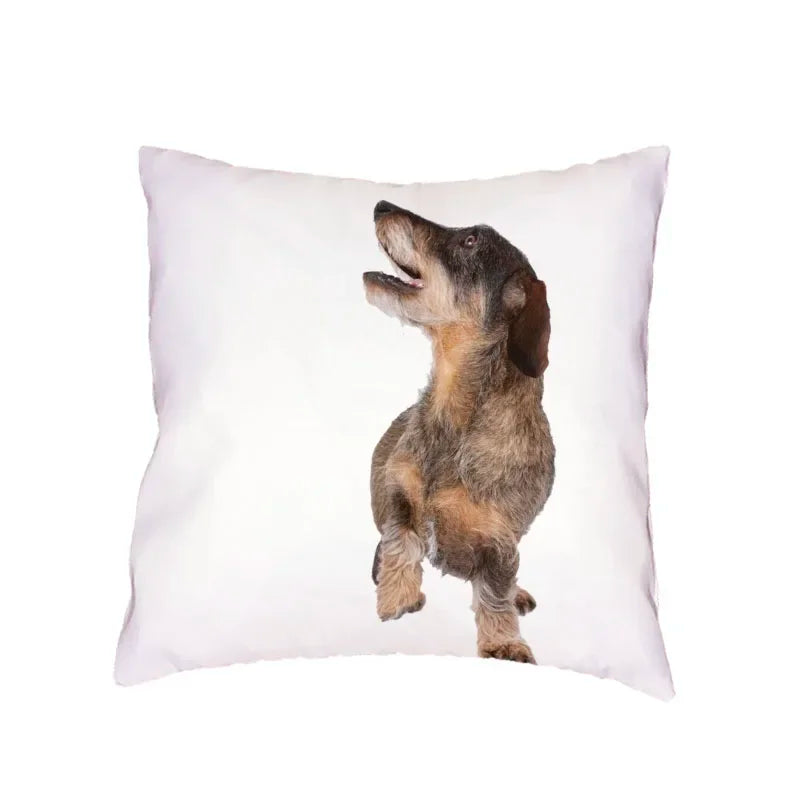 Siberian Husky Dogs Cushion Cover 45X45CM by Axyaa
