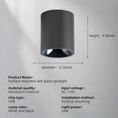 Axyaa Modern LED Spot Light Ceiling Lamp for Home Decor.