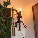 Axyaa Monkey Pendant Lamp: Hemp Rope Creative Wall Sconce Light