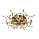 Axyaa Modern LED Chandelier - White/Black - Living Room Bedroom Fixtures