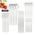 Axyaa Black Silver Cutlery Set for 5 - Stainless Steel Flatware Dinnerware