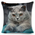 Axyaa Fold Ear Cat Pillow Covers - Set of 2 Cute Pet Pillowcases