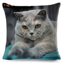 Axyaa Fold Ear Cat Pillow Covers - Set of 2 Cute Pet Pillowcases
