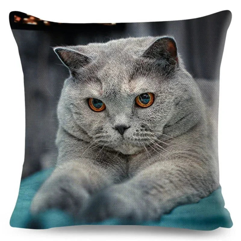 Axyaa Fold Ear Cat Pillow Covers - Set of 2 Cute Pet Pillowcases