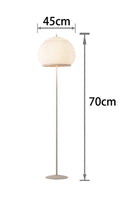 Axyaa Nordic Modern Lighting for Living Room Bedroom Home Furnishings and Desk Lamp