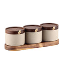 Axyaa Ceramic Seasoning Jar Set with Lid, Set of 3 Kitchen Containers