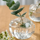 Axyaa Clear Glass Pomegranate Vase for Home Wedding Party Table Decor