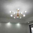 Axyaa Nordic Magic Beans Glass Chandelier for Living Room, Bedroom, Dining, Study
