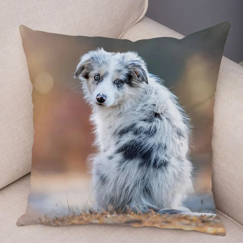 Axyaa Australian Shepherd Pillow Cover - Cute Dog Animal Cushion
