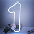 Axyaa Numbers Neon Sign 0-9 with Stand Base - USB Powered Dimmable Light Sign