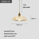 Axyaa Glass Pendant Chandelier Lighting E27 Hang Lamp for Home Decoration