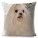 Maltese Dog Pillow Cover by Axyaa - Decorative Cushion Case for Home and Car