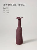 Axyaa Ceramic Vase Set: Modern Morandi Colors, Simple Artistic Design, Ideal for Living Room