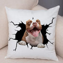 Axyaa Cute Dog Print Pillow Case for Home Decor and Comfort