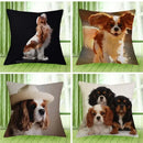 Axyaa Cavalier King Charles Spaniel Sofa Cushion Cover - Home Decor & Party Accessory