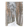 Snow House Nordic Canvas Wall Art by Axyaa for Living Room Decor