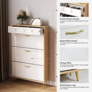 Axyaa Shoe Cabinet Storage with Drawers & Metal Legs