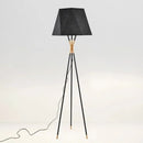 Axyaa Nordic Modern Floor Lamps Black Minimalist Art Lighting Fixtures