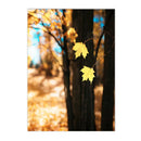 Autumn Forest Squirrel Landscape Canvas Wall Art Print Home Decor by Axyaa